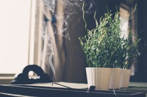 Zbawiennie korzyści olejku z kadzidłowca – olejek olibanowy